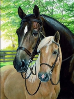 Diamond Painting Haft Diamentowy Mozaika Zestaw 5D