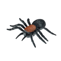 Owady Insekty Edukacyjne 12 Wzorów Zabawka dla Dzieci Nauka i Rozrywka