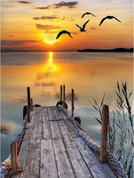 DUŻY OBRAZ MALOWANIE PO NUMERACH 40X50 PLAŻA +RAMA