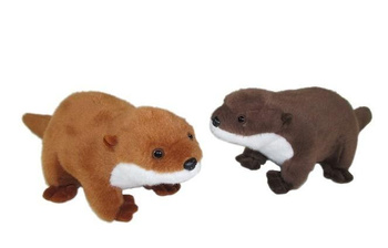 Wydra 43cm MIX Sun-Day