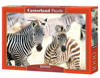 Puzzle 1000 Young Zebras CASTOR Castorland
