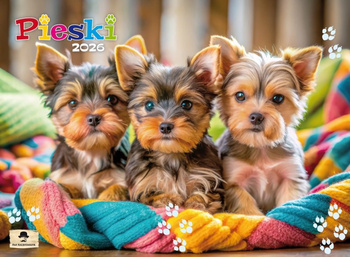 Kalendarz 2026 ścienny albumowy Pieski KSA V1