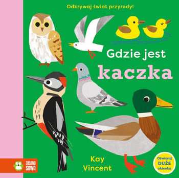 Gdzie jest kaczka. Gdzie jest...