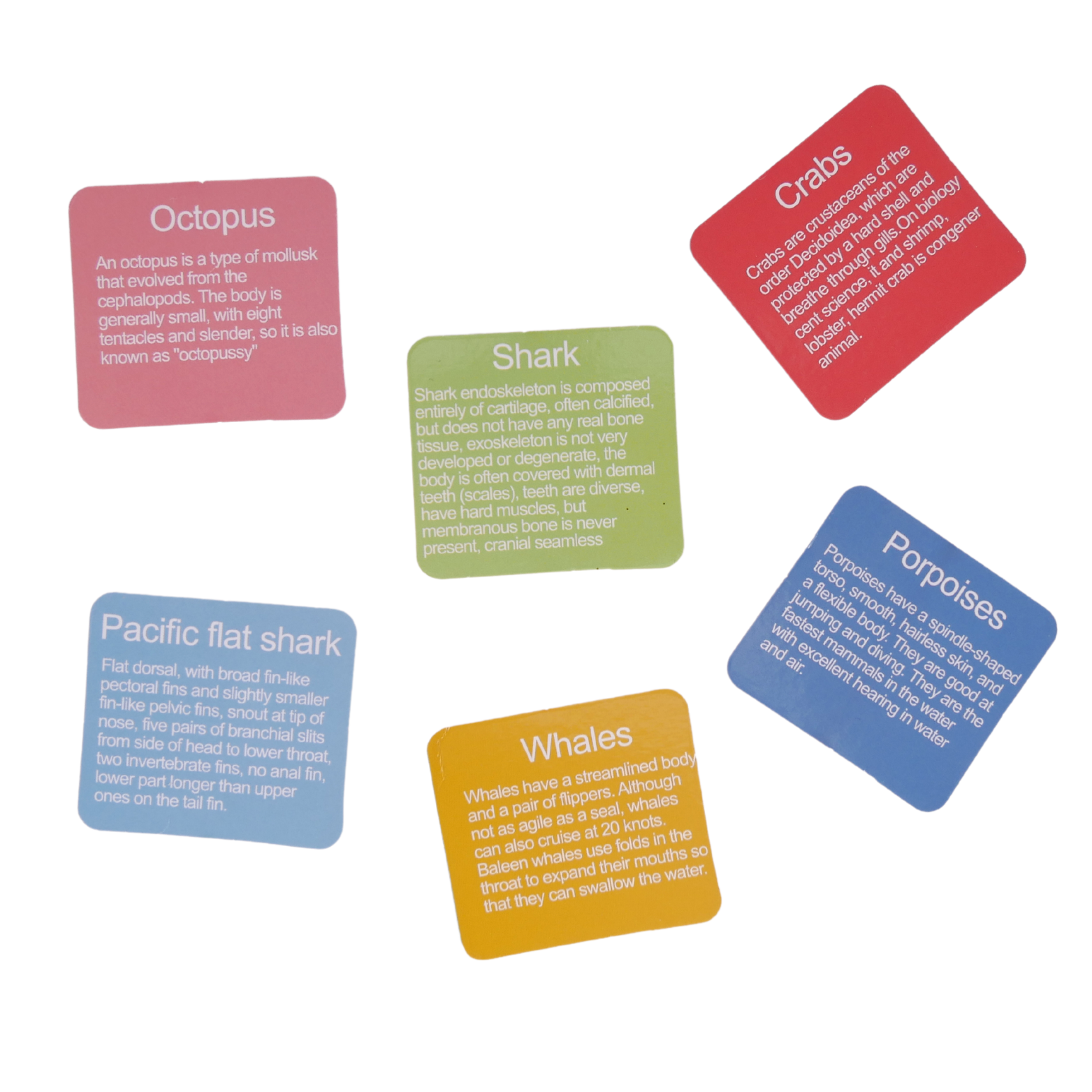 Montessori Sortowanie Nauka Liczenia Logiki Myślenia Karty Gra Układanka