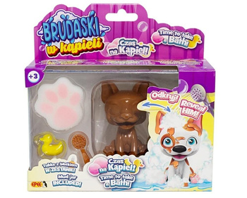 Brudaski w kąpieli piesek Boston biało-żółty EPEE