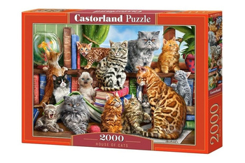 Puzzle 2000 House of Cats CASTOR Castorland