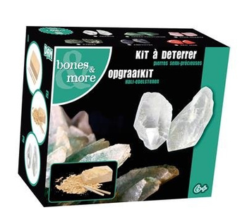 Kamień wykopaliska Bones&more