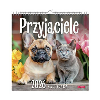Kalendarz 2026 Przyjaciele kwadrat ścienny