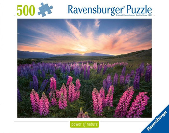 Puzzle 2D: Łąka 500el Ravensburger