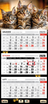 Kalendarz 2026 trójdzielny Kotki KT1 V97