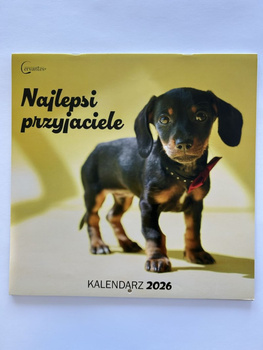 Kalendarz 2026 ścienny Najlepsi przyjaciele Psy