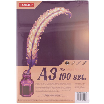 Papier Brystol A3 100 ark.170g