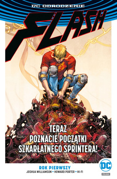 Rok pierwszy. Flash. Tom 11,5