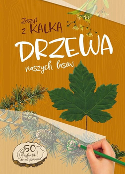Drzewa naszych lasów. Zeszyt z kalką wyd. 2025