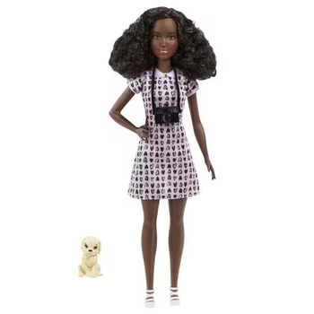 Barbie Kariera zestaw HCN10 Mattel