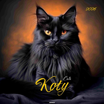 Kalendarz 2026 Koty KD-21