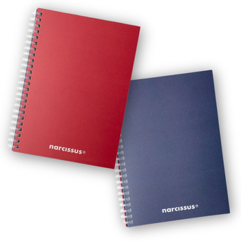 Kołonotatnik A5 80k. kratka SWING Mono BG