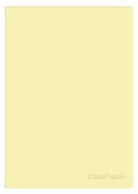 COOLPACK - ZESZYT A5 PP - 60 K. KRATKA (bm) - PASTEL / POWDER YELLOW