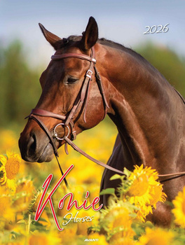 Kalendarz 2026 Konie KSMS-5