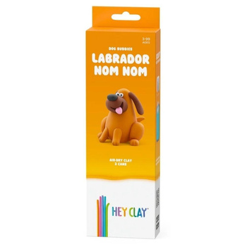 Hey Clay. Masa plastyczna - labrador TM Toys