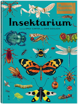 Insektarium. Muzeum Owadów