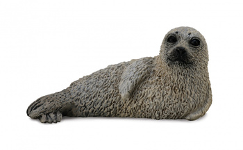 COLLECTA MŁODA FOKA PSTRA