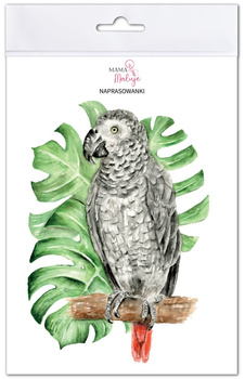 Naprasowanki Papuga Żako