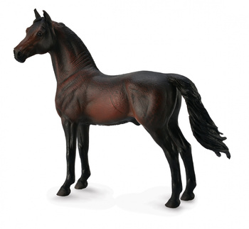 COLLECTA OGIER MORGAN MAŚCI BAY