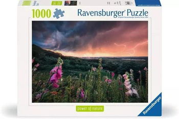 Puzzle 1000 Nadchodzi burza Ravensburger