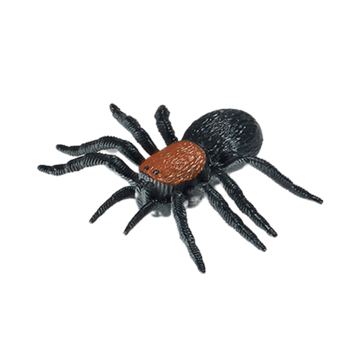 Owady Insekty Edukacyjne 12 Wzorów Zabawka dla Dzieci Nauka i Rozrywka