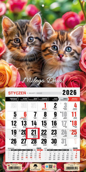 Kalendarz 2026 trójdzielny jednodzielny mini z magnesem Kotki KTJ2 V36