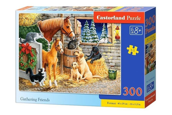 Puzzle 300 Gathering Friends CASTOR Castorland