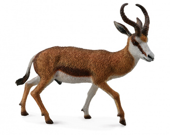 COLLECTA KOZICA SPRINGBOK