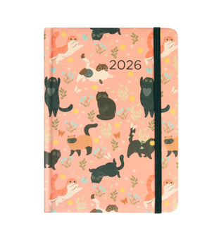 Kalendarz 2026 B6 dzienny Koty