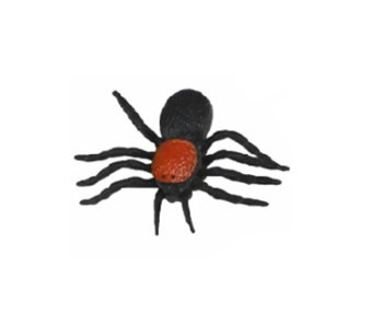 Modele owadów edukacyjne zabawki dla dzieci zestaw 12 wzorów kolorowe