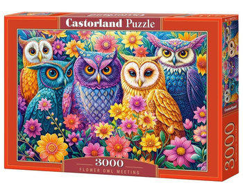 Puzzle 3000 Flower Owl Meeting CASTOR Castorland