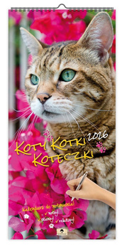 Kalendarz 2026 ścienny paskowy szeroki Koty Kotki Koteczki KPS V6