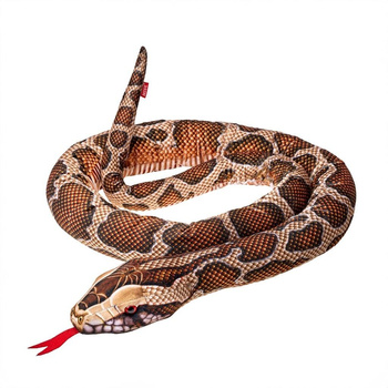 Pyton Birmański 180cm Beppe