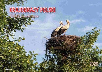 Kalendarz 2026 Krajobrazy polski KA-7