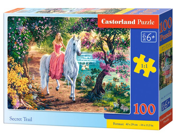 Puzzle 100 Sekretny szlak B-111114