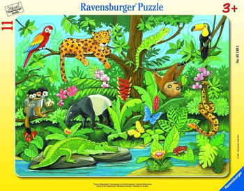Puzzle 11 Co tu pasuje? Zwierzęta lasu deszczowego Ravensburger