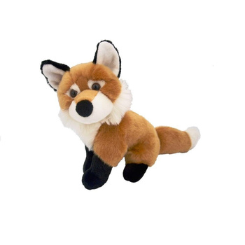 Lis pospolity 23cm Beppe