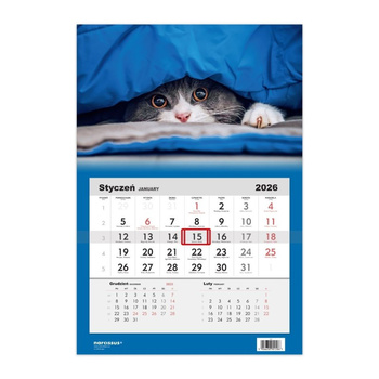 Kalendarz 2026 Jednodzielny Kot