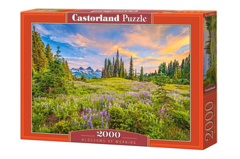 Puzzle 2000 Blossoms of Morning Castorland