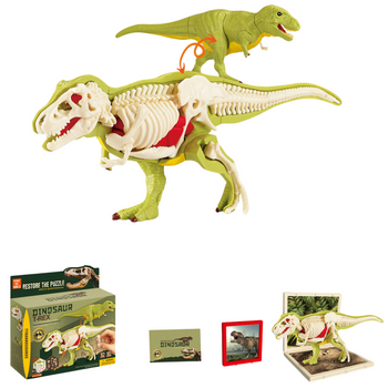 DINOZAUR TYRANOZAUR REX ZE SZKIELETEM DO SKŁADANIA ZABAWKA EDUKACYJNA 32 EL