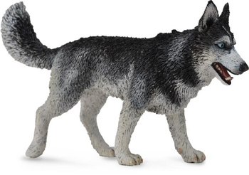 COLLECTA SYBERYJSKI HUSKY