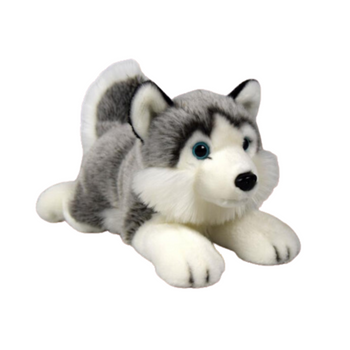 Maskotka Pies Husky Leżący Pluszak 34cm Miękka Przytulanka Miś Piesek