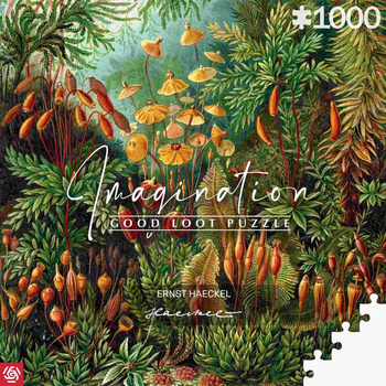 Puzzle 1000 Imagination Ernst Haeckel Muscinae