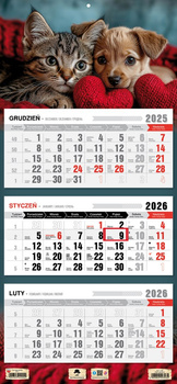 Kalendarz 2026 trójdzielny Przyjaciele KT1 V98