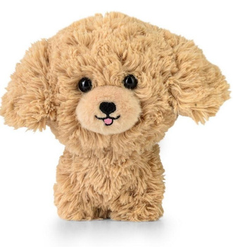 Maskotka Teddy Pets Golden Poodle Daffi